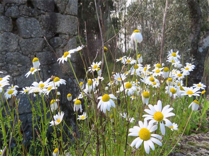 Image No.17-Property for sale