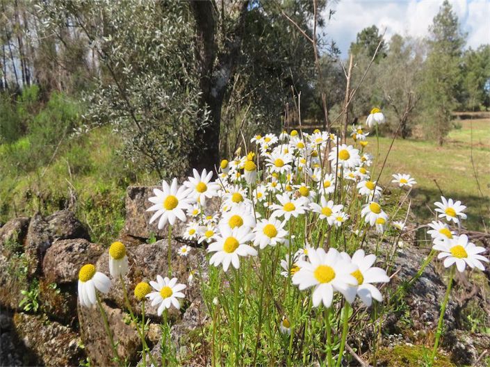 Image No.18-Property for sale