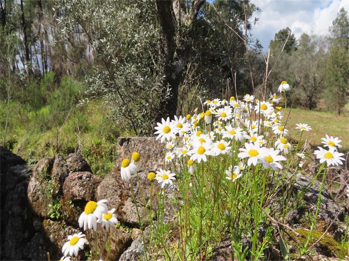 Image No.19-Property for sale