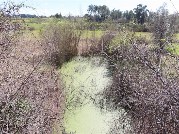 Image No.2-Property for sale