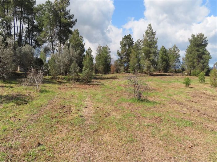 Image No.22-Property for sale