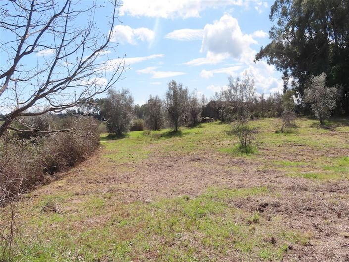 Image No.23-Property for sale