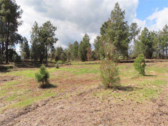 Image No.24-Property for sale