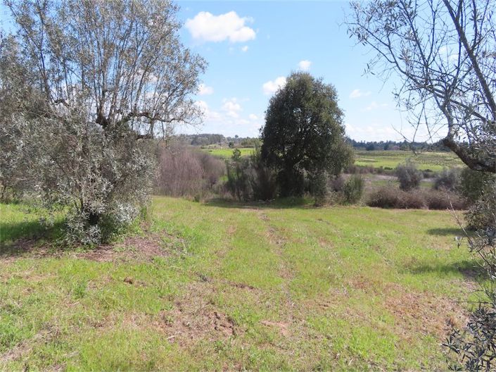 Image No.27-Property for sale