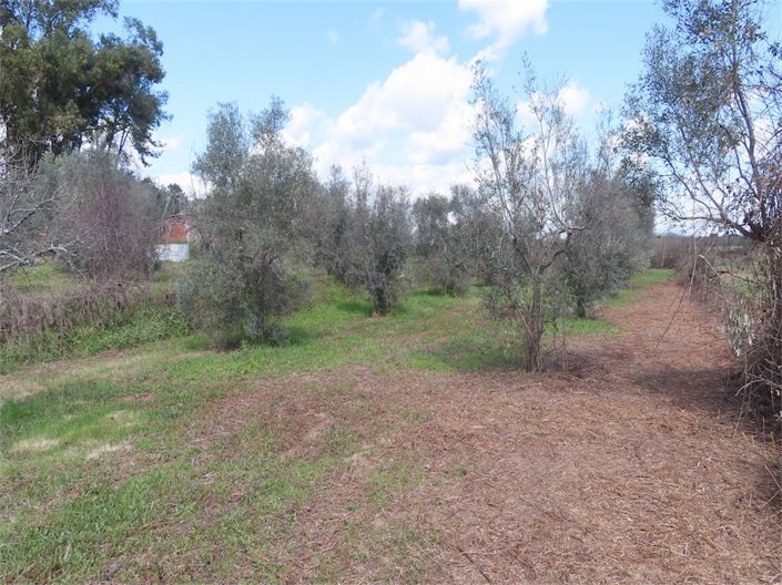 Image No.3-Property for sale