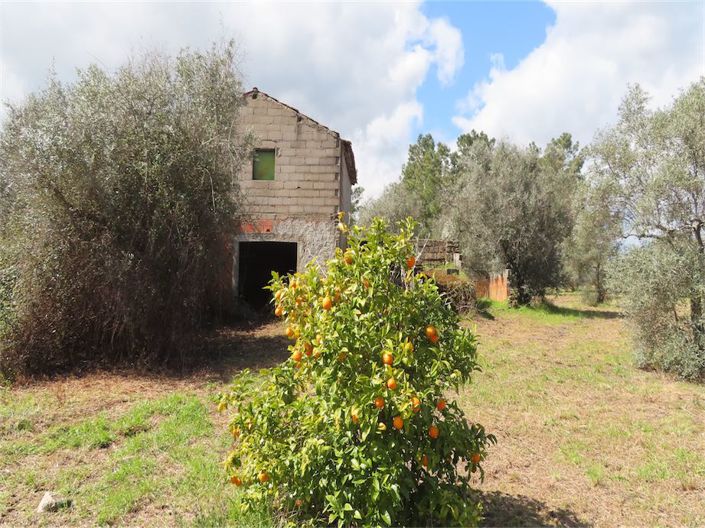 Image No.31-Property for sale