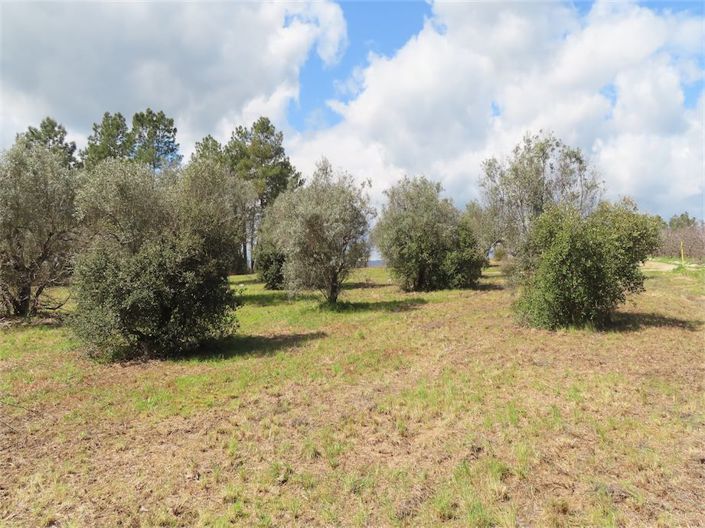 Image No.34-Property for sale