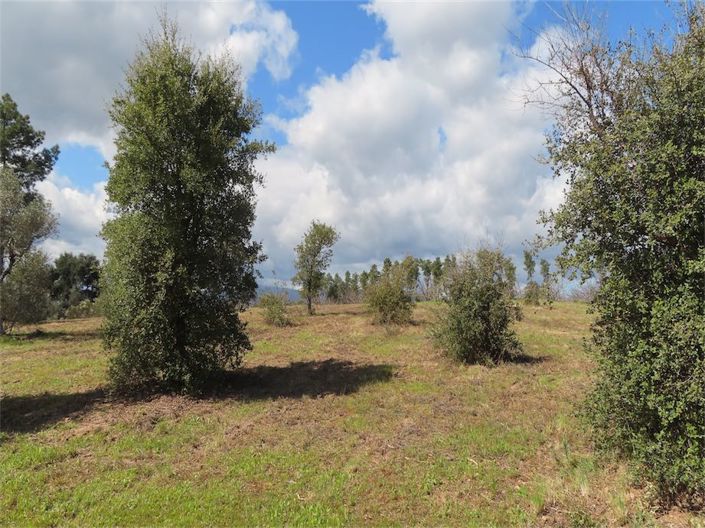 Image No.36-Property for sale