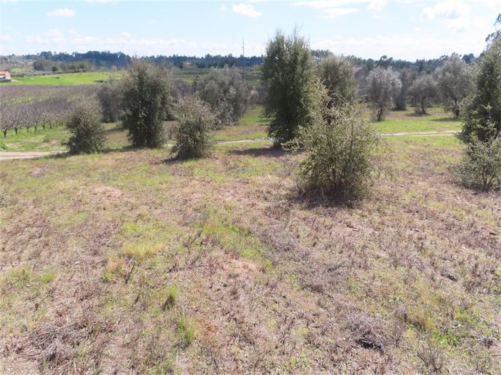 Image No.37-Property for sale