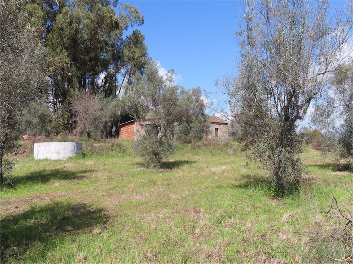 Image No.4-Property for sale