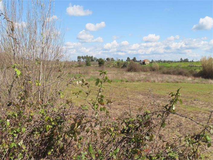 Image No.9-Property for sale