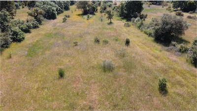 Image No.3-Property for sale