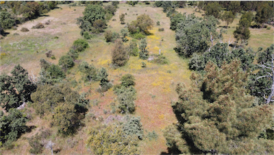Image No.6-Property for sale