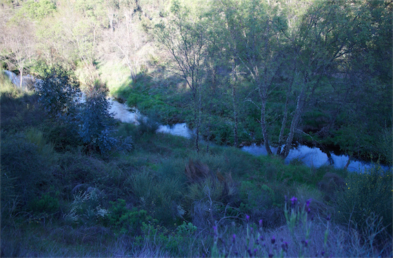 Image No.21-Property for sale