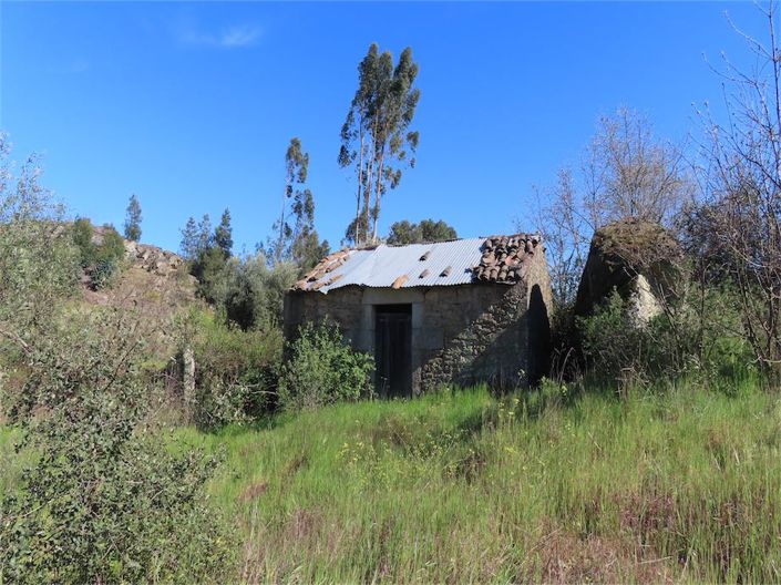 Very welcoming, private, and secluded farm, with a total area of ??7.520 m2. It has a rural stone bu