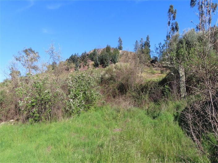 Image No.11-Property for sale