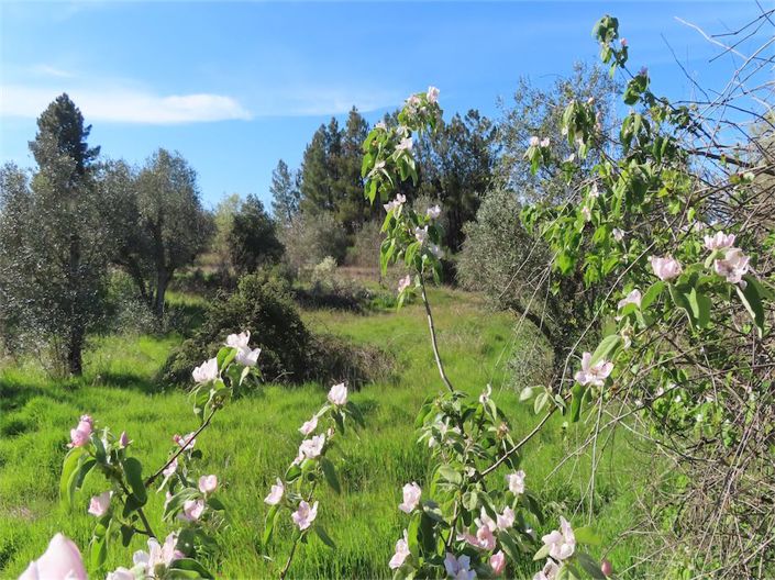 Image No.13-Property for sale