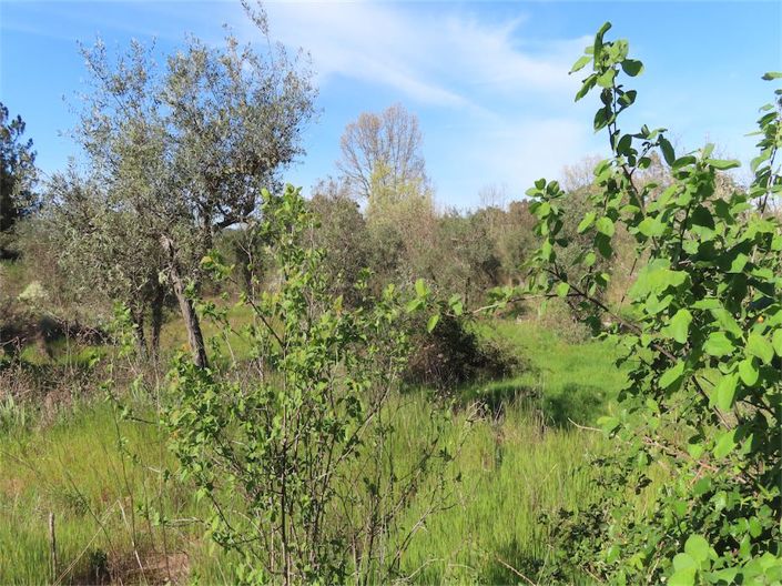 Image No.17-Property for sale