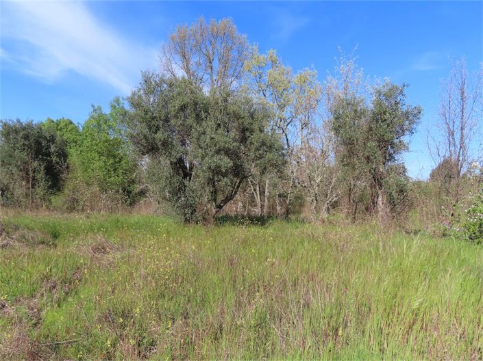 Image No.18-Property for sale