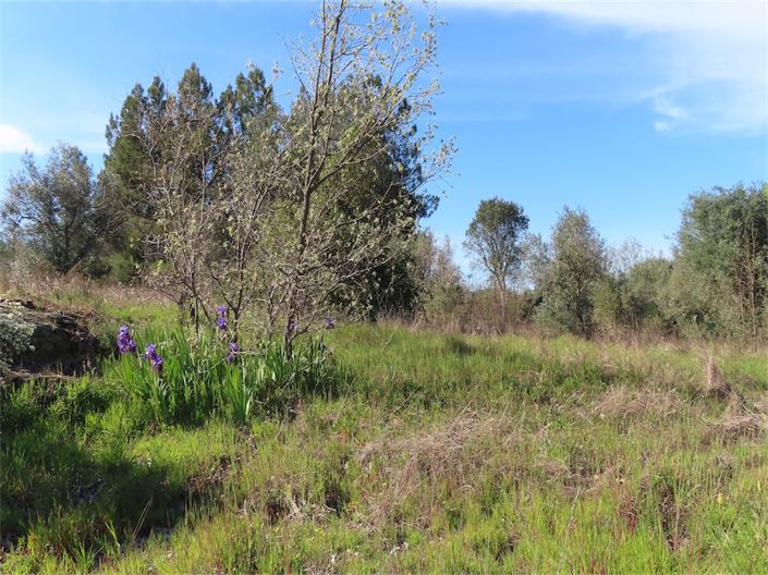 Image No.19-Property for sale