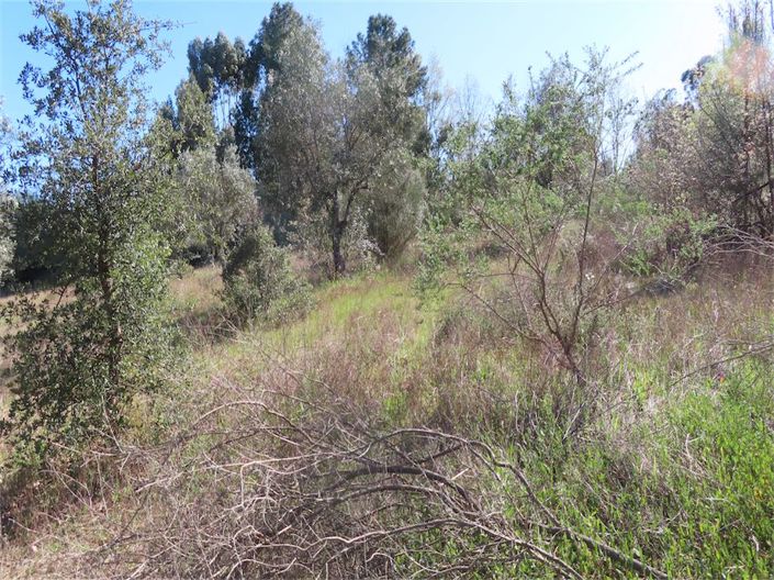 Image No.2-Property for sale