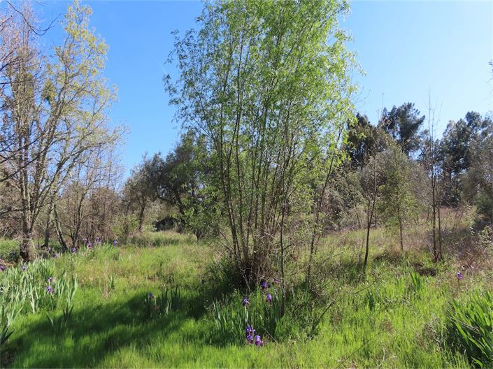 Image No.21-Property for sale