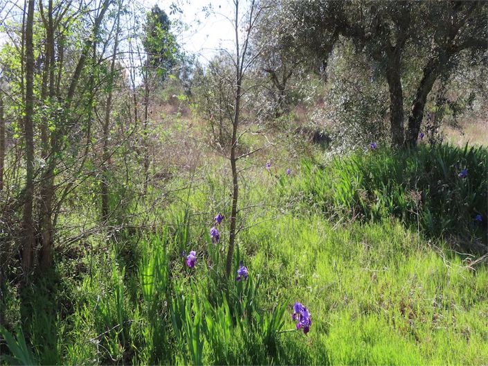 Image No.23-Property for sale