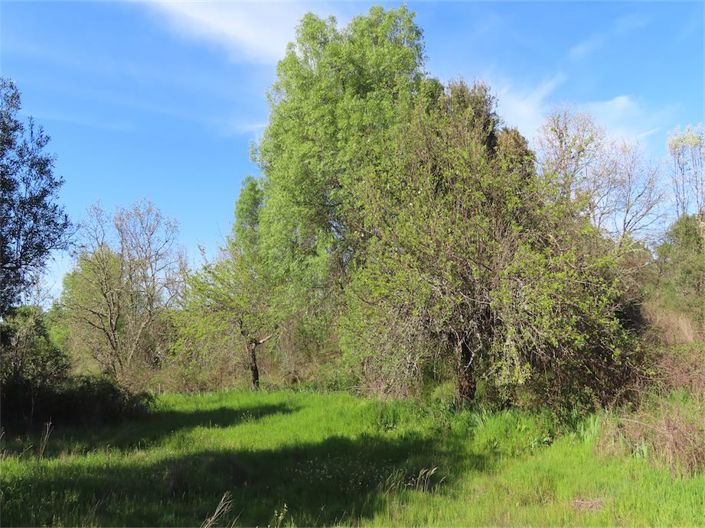 Image No.24-Property for sale