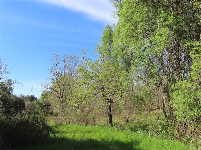 Image No.25-Property for sale