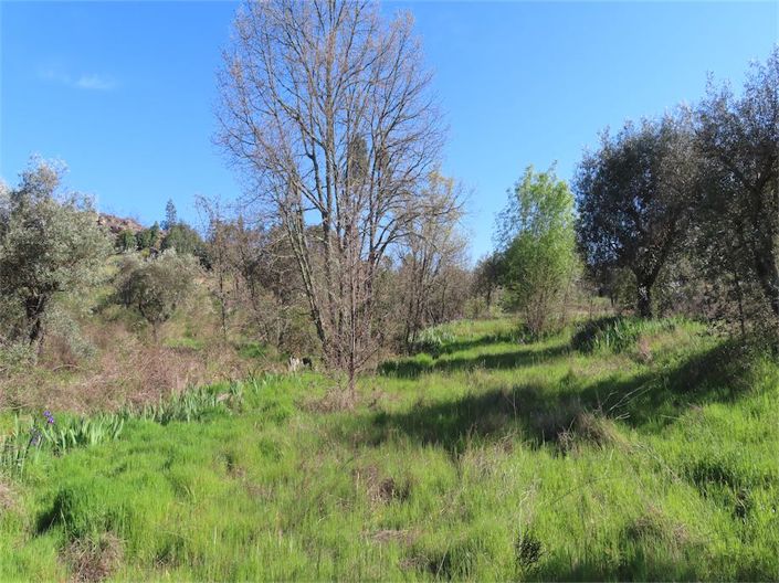 Image No.26-Property for sale
