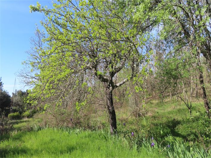 Image No.27-Property for sale