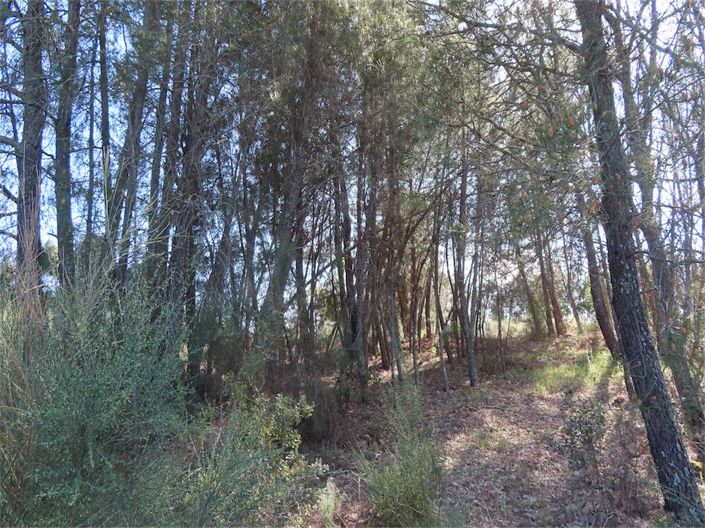 Image No.29-Property for sale