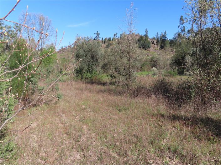 Image No.3-Property for sale