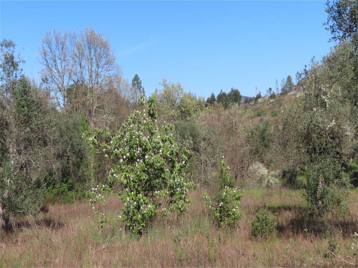 Image No.4-Property for sale