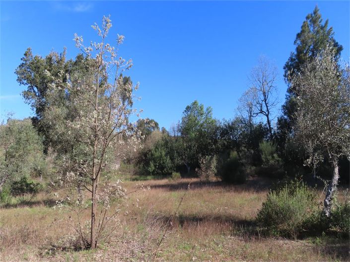 Image No.5-Property for sale