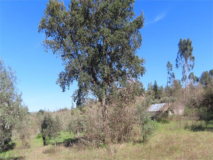 Image No.6-Property for sale