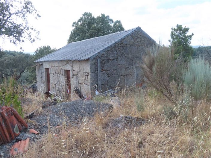 Wonderful Organic Farm  with almost 5 hectares, with great potential for different purposes, such as