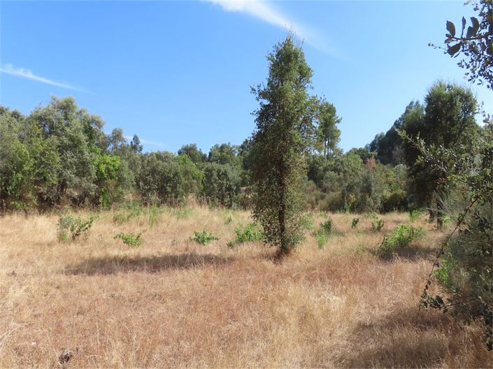 Image No.11-Property for sale