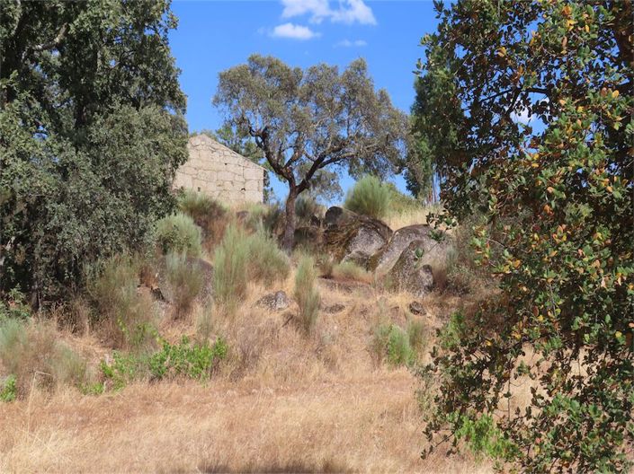 Image No.12-Property for sale