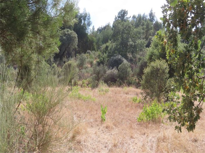 Image No.13-Property for sale