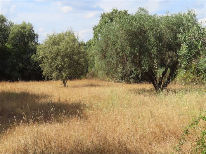 Image No.15-Property for sale