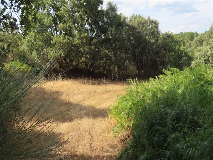 Image No.17-Property for sale
