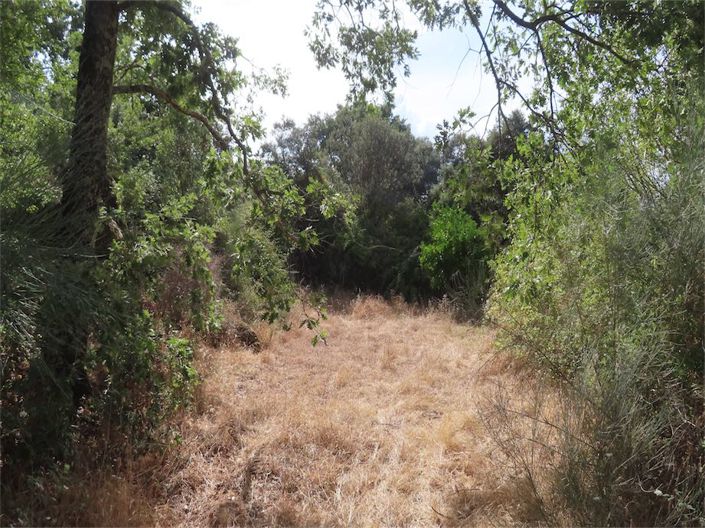 Image No.19-Property for sale