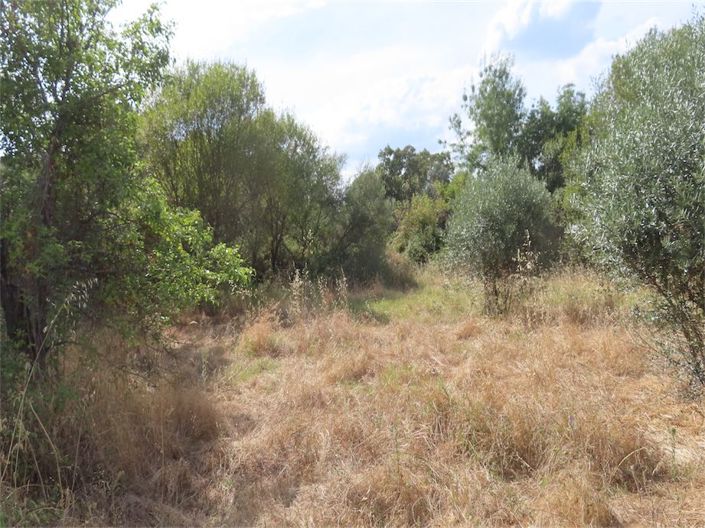 Image No.20-Property for sale