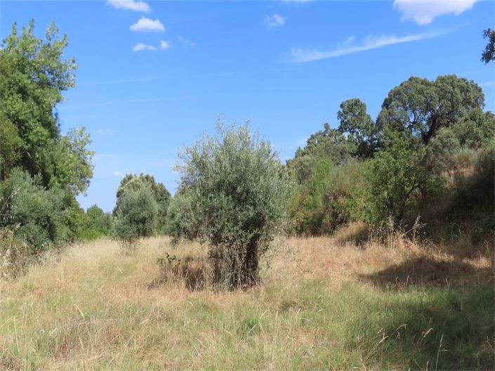 Image No.21-Property for sale