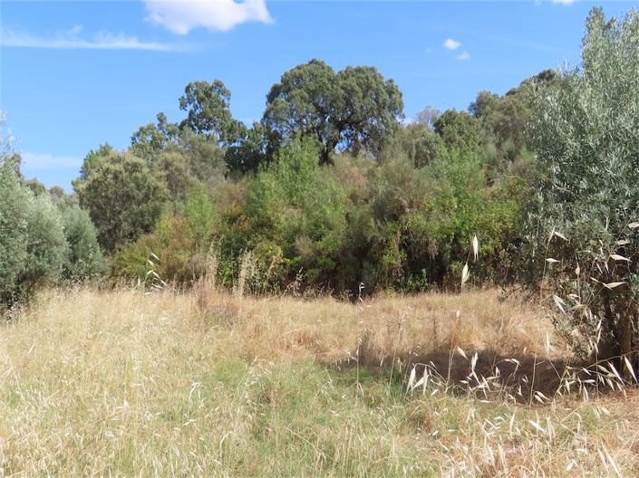 Image No.22-Property for sale
