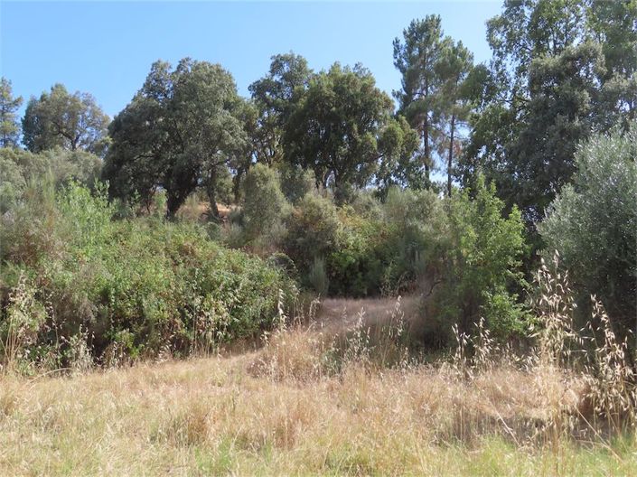 Image No.23-Property for sale