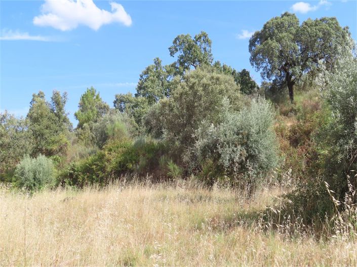 Image No.25-Property for sale