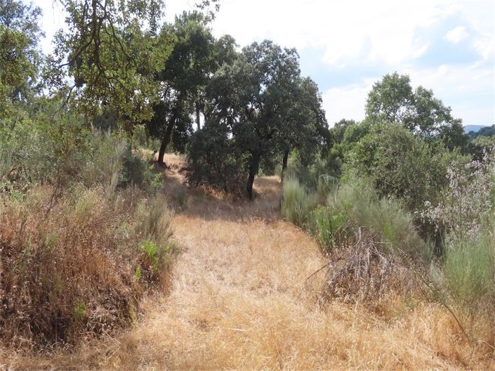 Image No.27-Property for sale