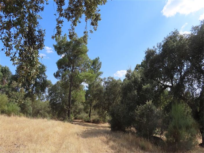 Image No.29-Property for sale